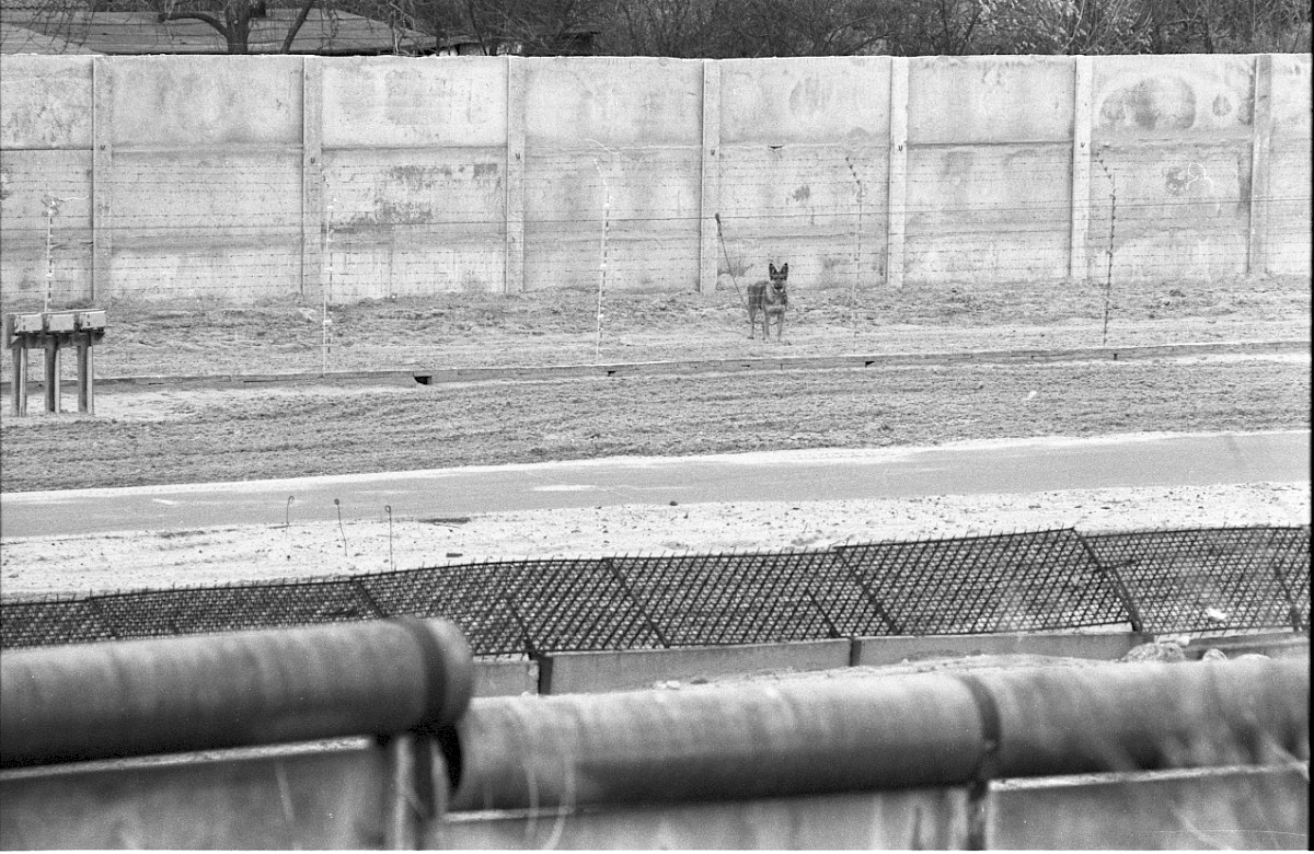 Berlin, 5. Dezember 1979 – Hundelaufanlage zwischen Signalzaun und Hinterlandmauer am Finkenkruger Weg (Fotograf: Edmund Kasperski)