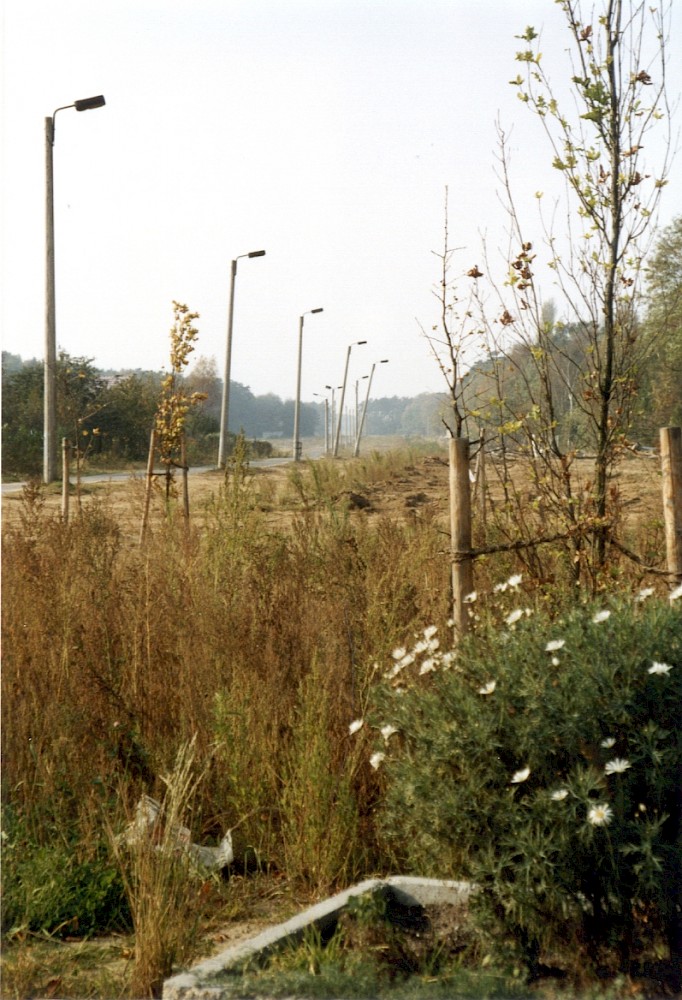 Berlin, Juni 1990 – Überwucherter Grenzstreifen am Stadtrand von Lichtenrade (Fotograf: Monika Waack)
